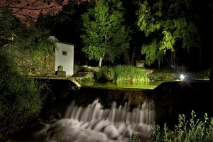 Muro Verde y Sostenible